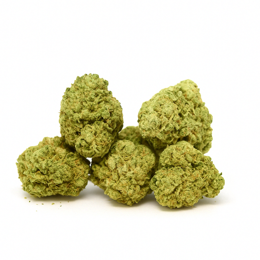 Nothern Lights Indoor