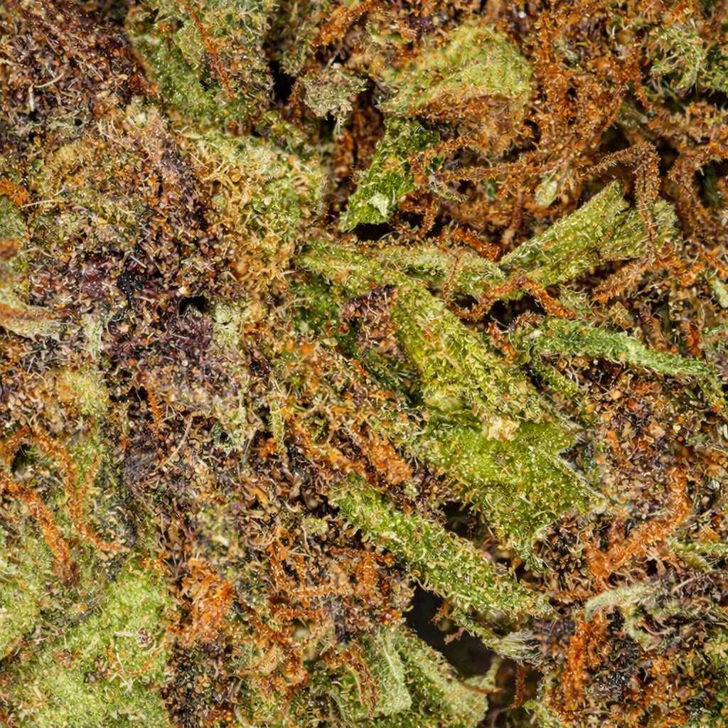 Sour Diesel - Indoor
