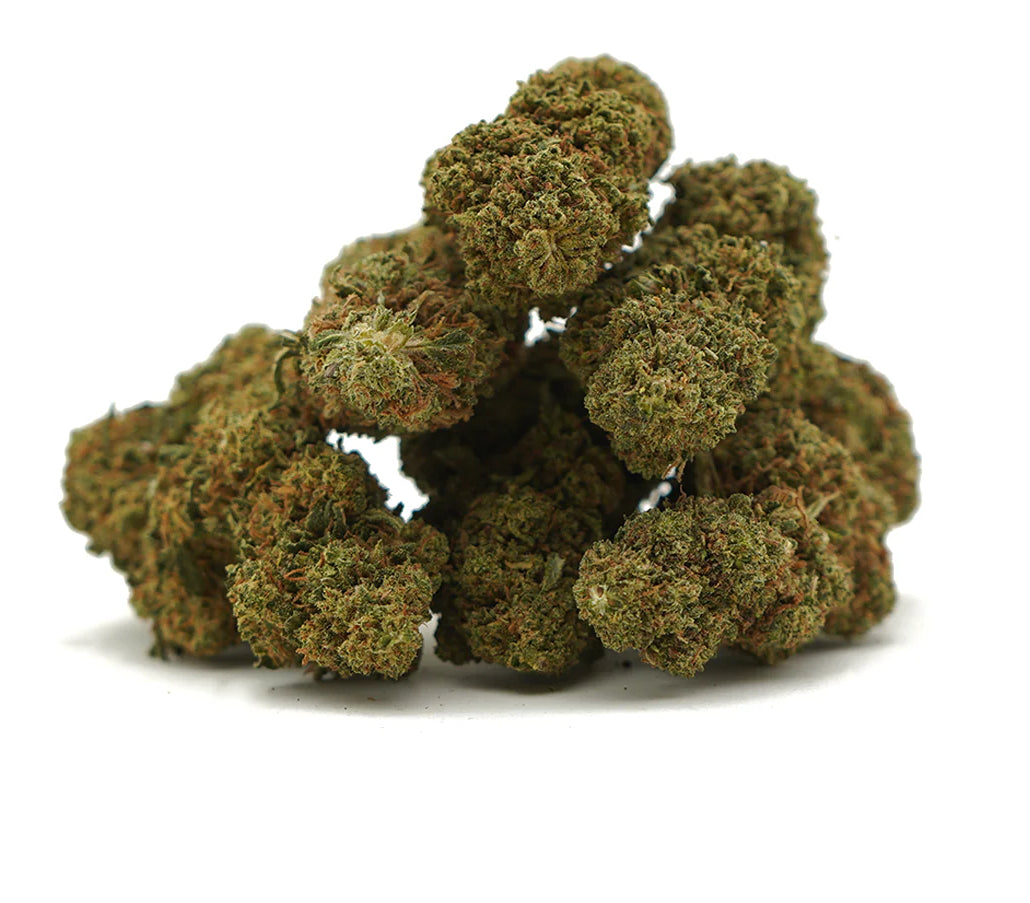 Blueberry Indoor