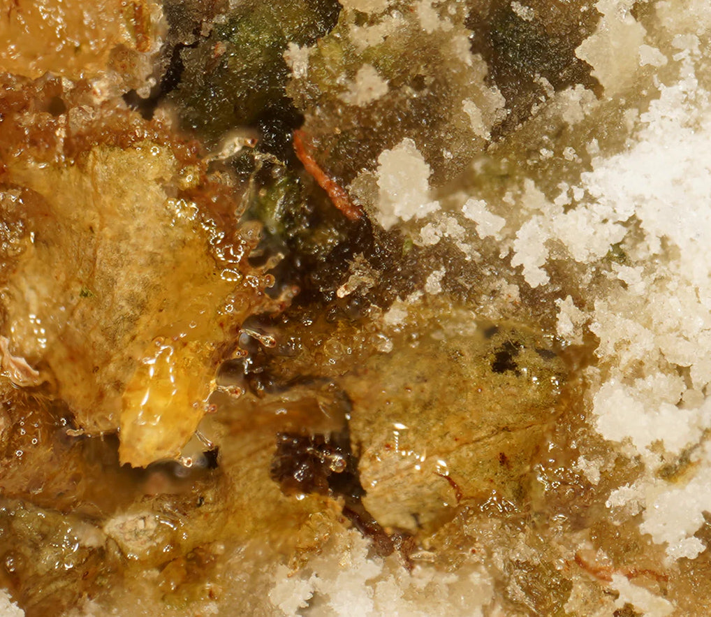 Ice Rock CBD
