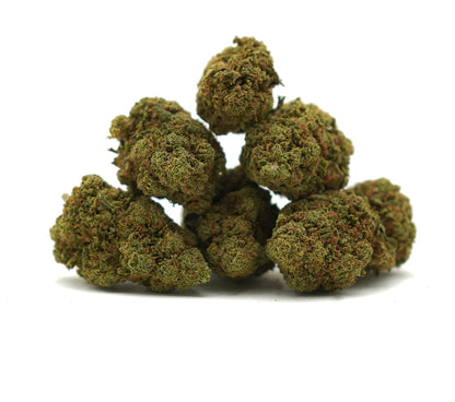 Cookie Kush Indoor
