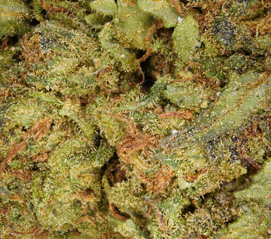 Cookie Kush Indoor