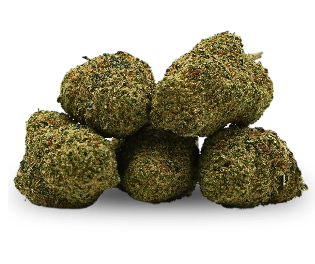 Gelato Indoor