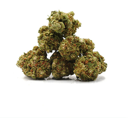 Orange Bud Indoor