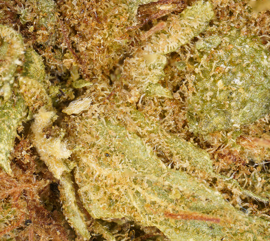 AK 47 Outdoor