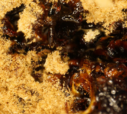MoonRock CBD